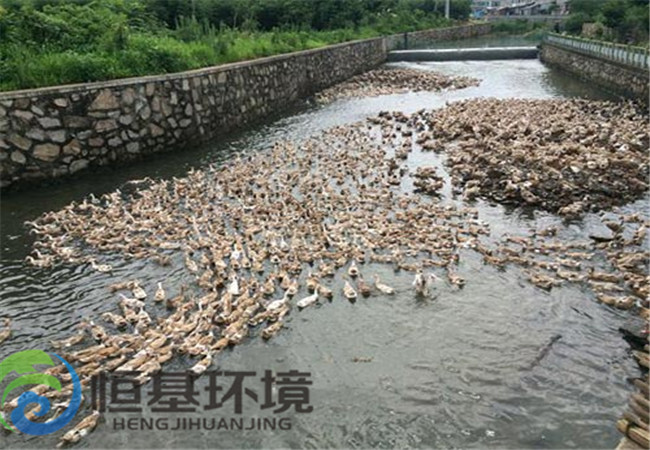 養殖場污水處理