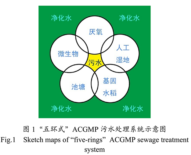 農(nóng)村生活污水生態(tài)處理工藝研究